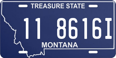 MT license plate 118616I