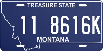 MT license plate 118616K