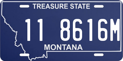 MT license plate 118616M