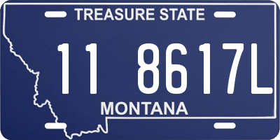 MT license plate 118617L