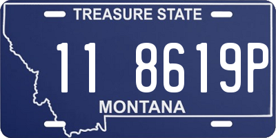 MT license plate 118619P
