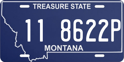 MT license plate 118622P