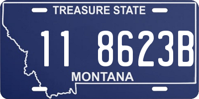 MT license plate 118623B