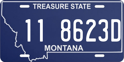 MT license plate 118623D