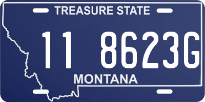 MT license plate 118623G