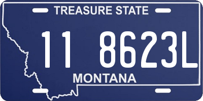 MT license plate 118623L