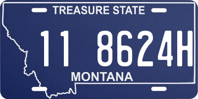 MT license plate 118624H