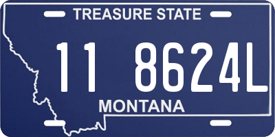 MT license plate 118624L