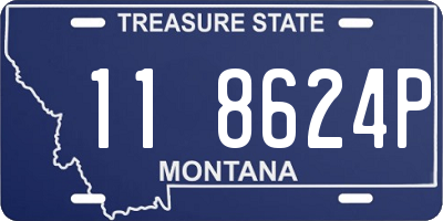 MT license plate 118624P