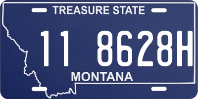 MT license plate 118628H