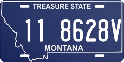 MT license plate 118628V