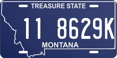 MT license plate 118629K