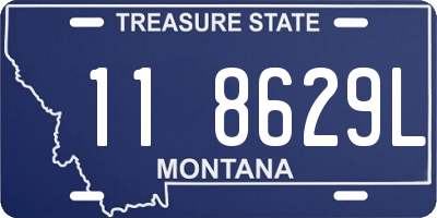 MT license plate 118629L