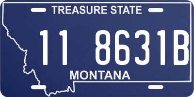 MT license plate 118631B