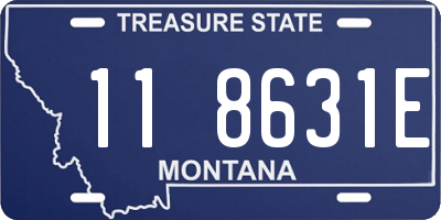 MT license plate 118631E