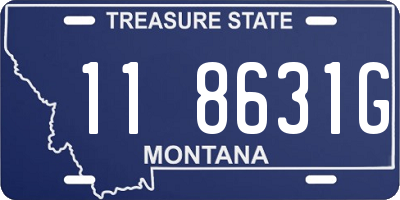 MT license plate 118631G