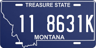 MT license plate 118631K