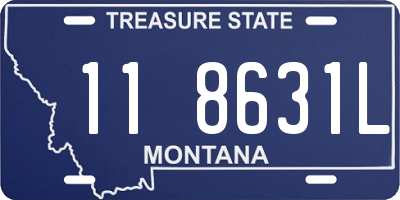 MT license plate 118631L