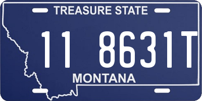 MT license plate 118631T