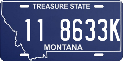 MT license plate 118633K