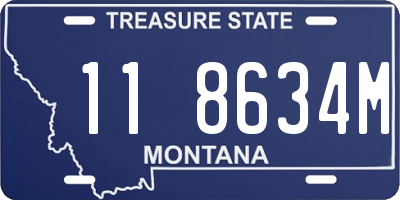 MT license plate 118634M