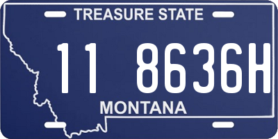 MT license plate 118636H