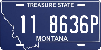 MT license plate 118636P