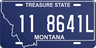 MT license plate 118641L