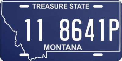 MT license plate 118641P