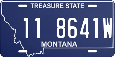 MT license plate 118641W