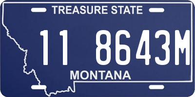 MT license plate 118643M