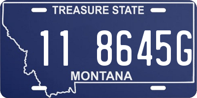 MT license plate 118645G