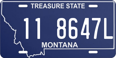 MT license plate 118647L