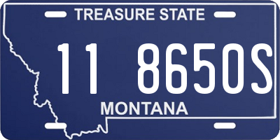 MT license plate 118650S