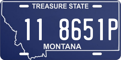 MT license plate 118651P