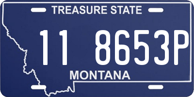 MT license plate 118653P