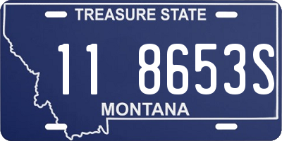 MT license plate 118653S