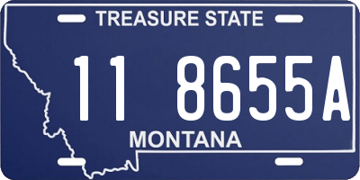 MT license plate 118655A