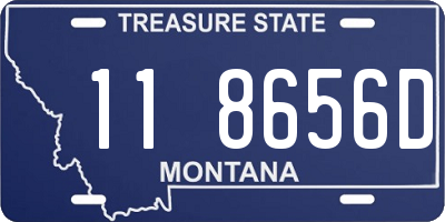 MT license plate 118656D