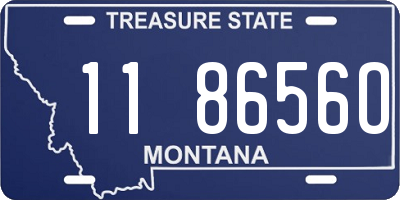 MT license plate 118656O
