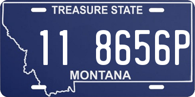 MT license plate 118656P