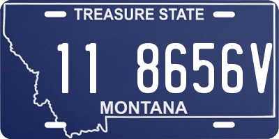 MT license plate 118656V