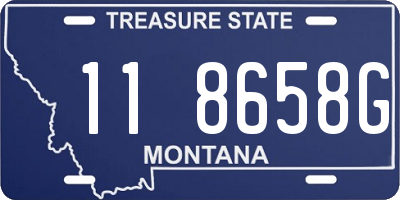 MT license plate 118658G