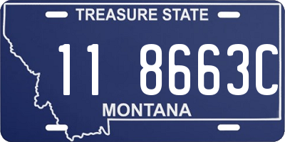 MT license plate 118663C
