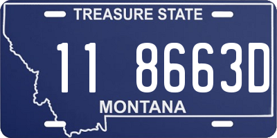 MT license plate 118663D