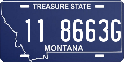 MT license plate 118663G