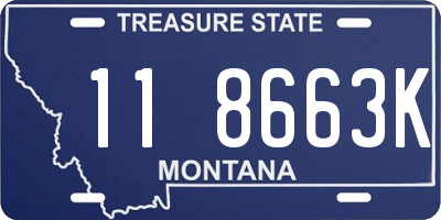 MT license plate 118663K