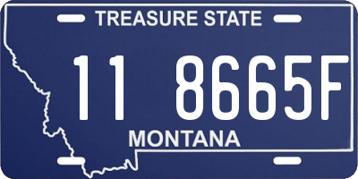 MT license plate 118665F