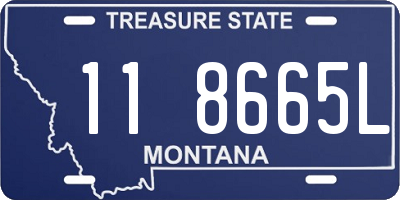 MT license plate 118665L