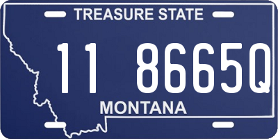 MT license plate 118665Q